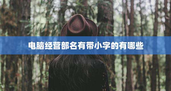 电脑经营部名有带小字的有哪些