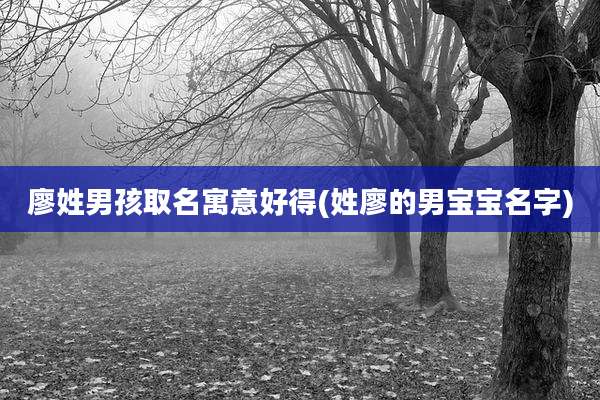 廖姓男孩取名寓意好得(姓廖的男宝宝名字)