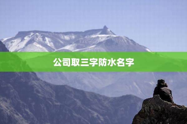 公司取三字防水名字