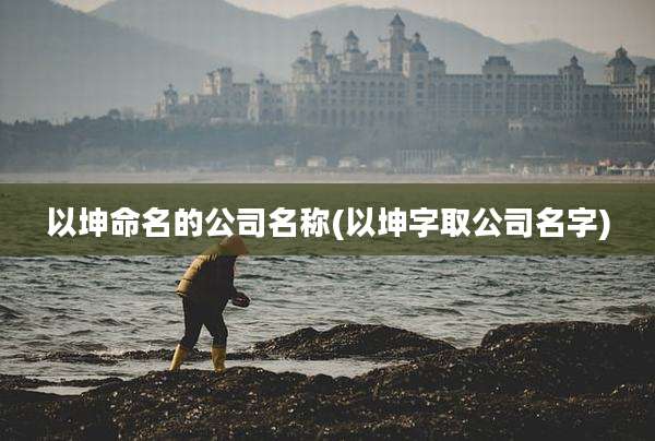 以坤命名的公司名称(以坤字取公司名字)