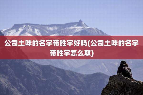 公司土味的名字带胜字好吗(公司土味的名字带胜字怎么取)