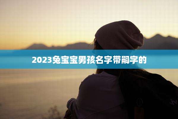 2023兔宝宝男孩名字带嗣字的