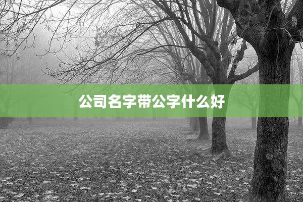 公司名字带公字什么好