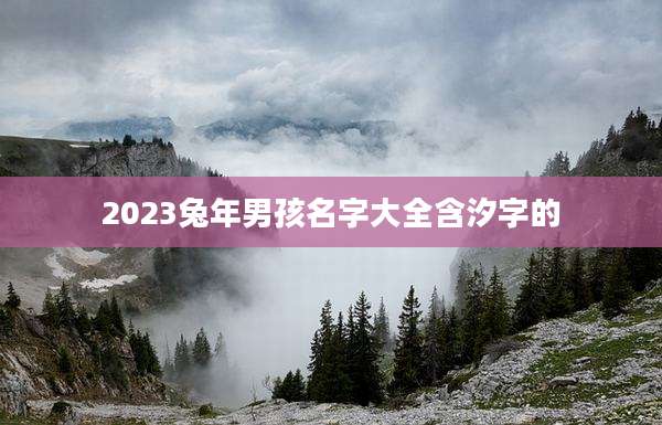 2023兔年男孩名字大全含汐字的