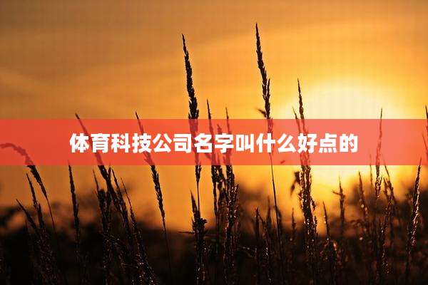 体育科技公司名字叫什么好点的