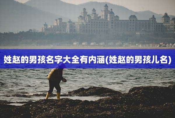 姓赵的男孩名字大全有内涵(姓赵的男孩儿名)