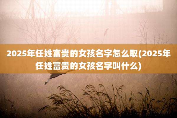 2025年任姓富贵的女孩名字怎么取(2025年任姓富贵的女孩名字叫什么)