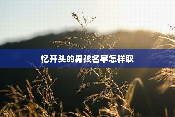 忆开头的男孩名字怎样取