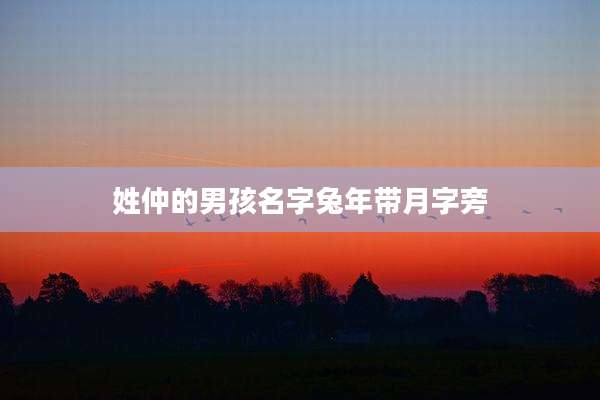 姓仲的男孩名字兔年带月字旁