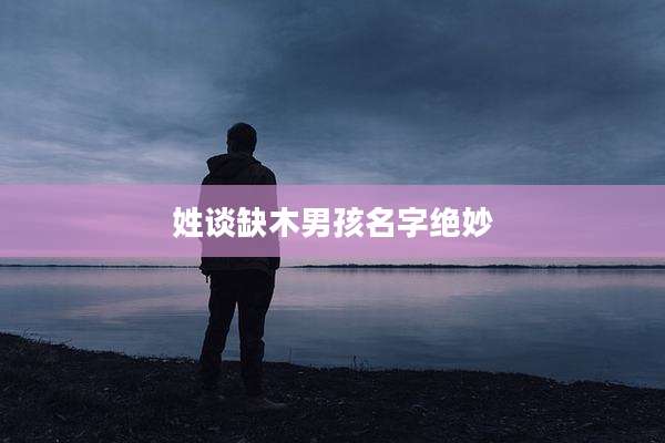 姓谈缺木男孩名字绝妙