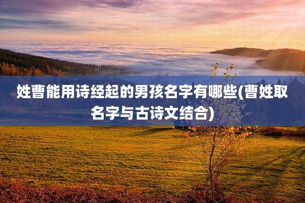 姓曹能用诗经起的男孩名字有哪些(曹姓取名字与古诗文结合)