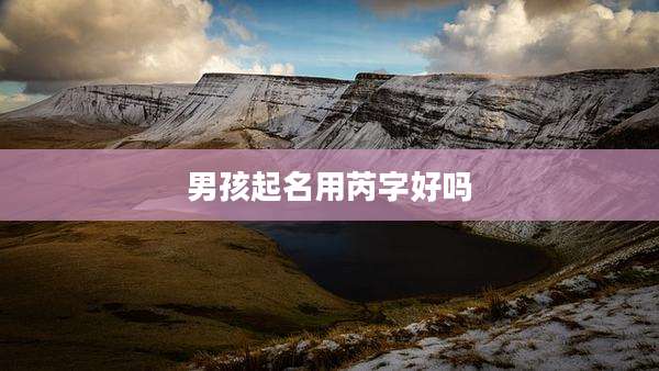 男孩起名用芮字好吗