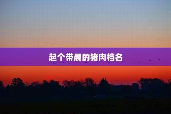 起个带晨的猪肉档名