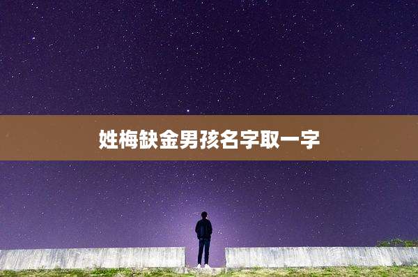 姓梅缺金男孩名字取一字