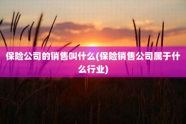 保险公司的销售叫什么(保险销售公司属于什么行业)
