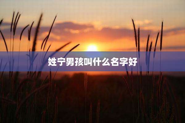 姓宁男孩叫什么名字好