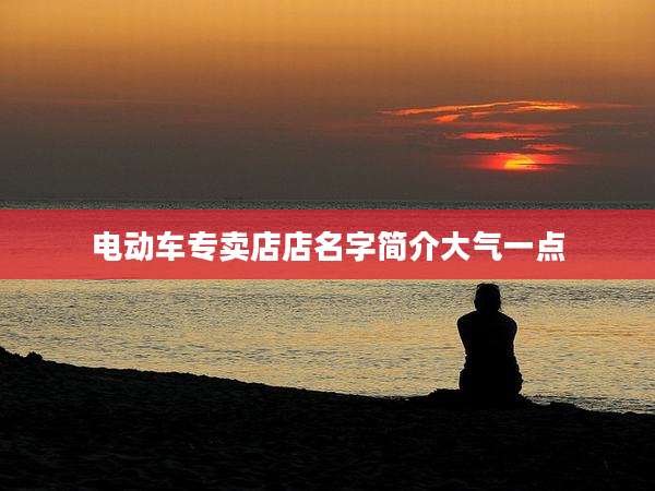 电动车专卖店店名字简介大气一点