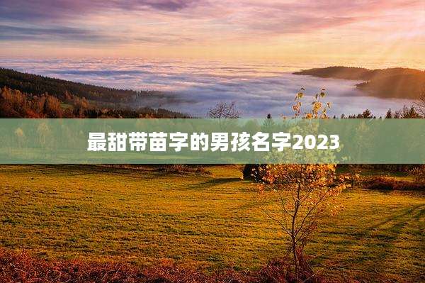 最甜带苗字的男孩名字2023