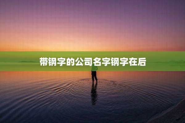 带钢字的公司名字钢字在后