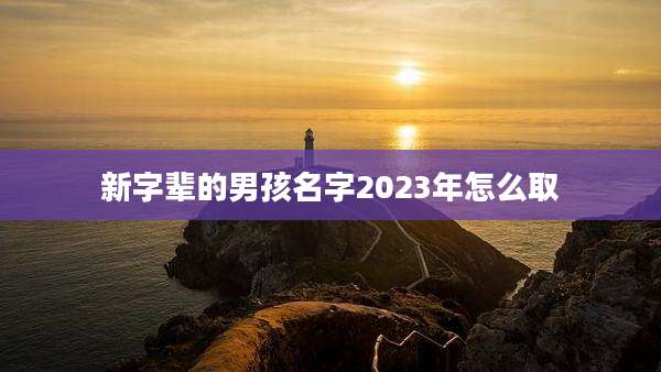 新字辈的男孩名字2023年怎么取
