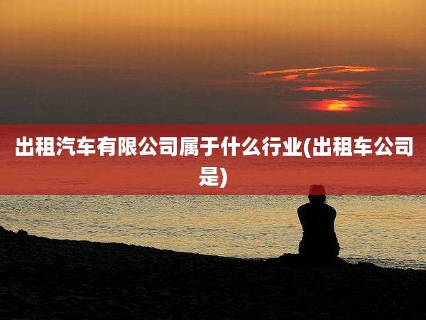 出租汽车有限公司属于什么行业(出租车公司是)