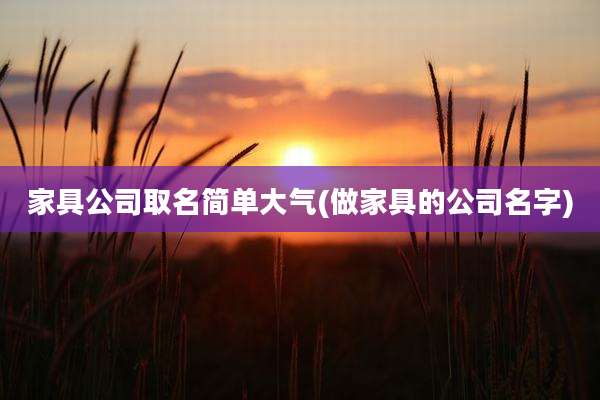 家具公司取名简单大气(做家具的公司名字)