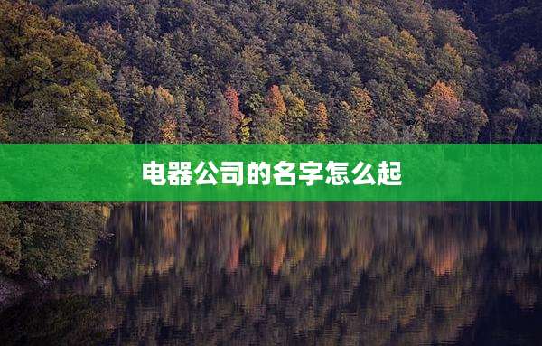 电器公司的名字怎么起