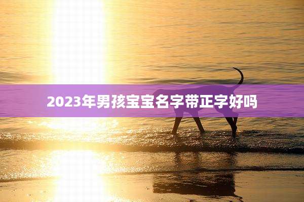 2023年男孩宝宝名字带正字好吗