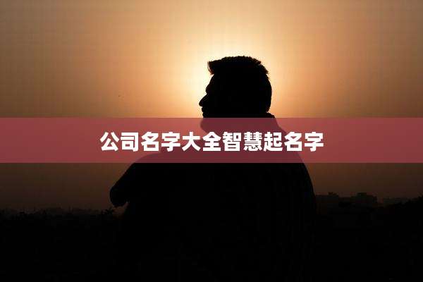 公司名字大全智慧起名字