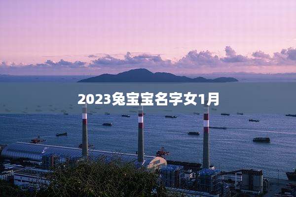 2023兔宝宝名字女1月
