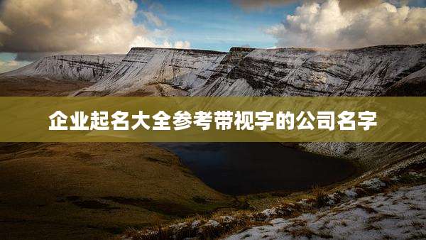 企业起名大全参考带视字的公司名字