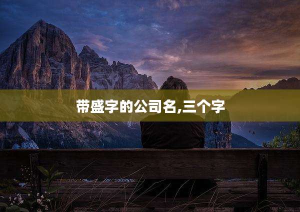 带盛字的公司名,三个字