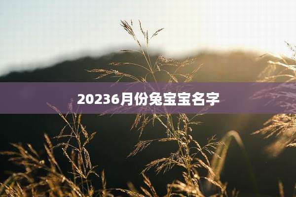 20236月份兔宝宝名字
