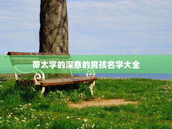带太字的深意的男孩名字大全