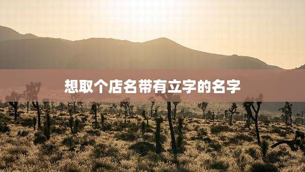 想取个店名带有立字的名字