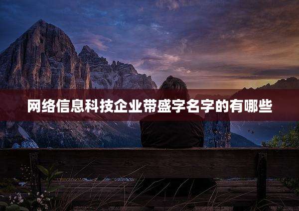 网络信息科技企业带盛字名字的有哪些