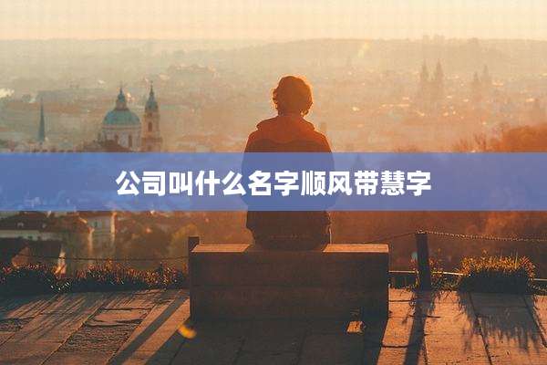 公司叫什么名字顺风带慧字