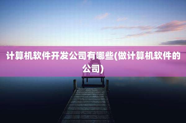 计算机软件开发公司有哪些(做计算机软件的公司)