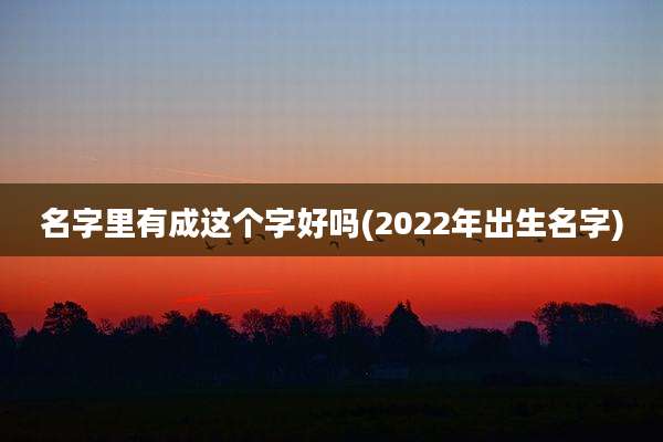 名字里有成这个字好吗(2022年出生名字)