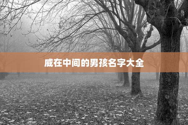 威在中间的男孩名字大全