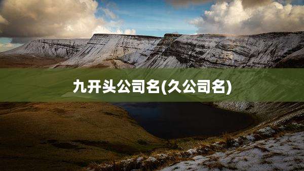 九开头公司名(久公司名)