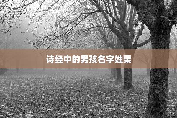 诗经中的男孩名字姓栗