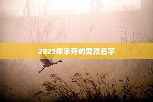 2023年禾旁的男孩名字