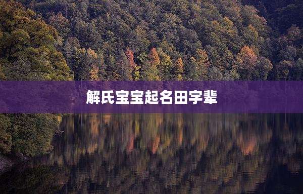 解氏宝宝起名田字辈