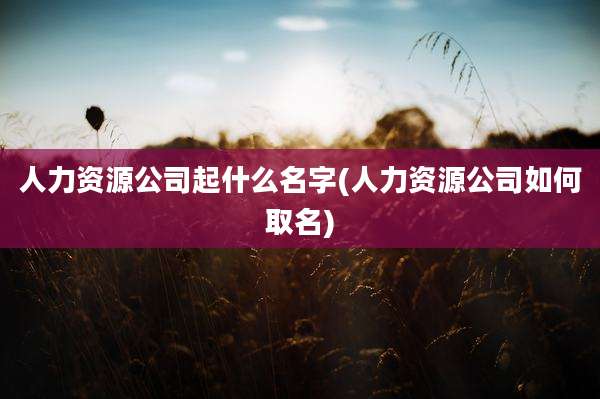 人力资源公司起什么名字(人力资源公司如何取名)