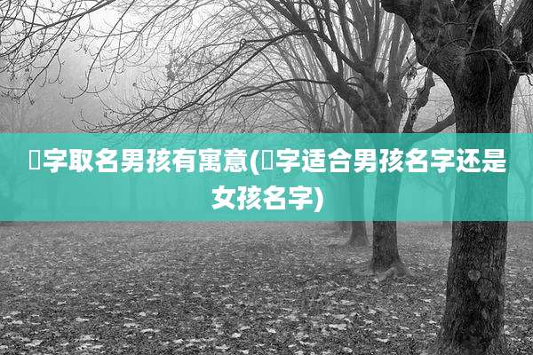 璟字取名男孩有寓意(璟字适合男孩名字还是女孩名字)