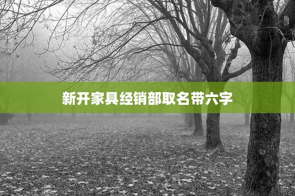 新开家具经销部取名带六字