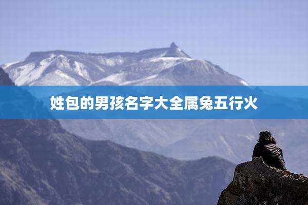 姓包的男孩名字大全属兔五行火