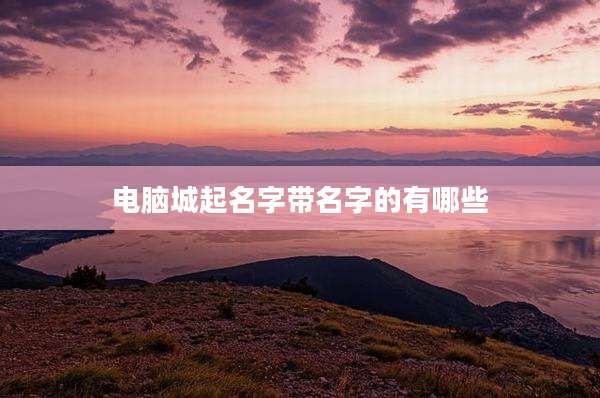 电脑城起名字带名字的有哪些