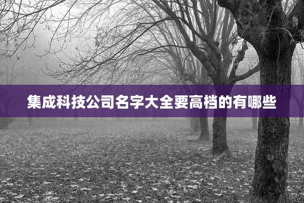 集成科技公司名字大全要高档的有哪些